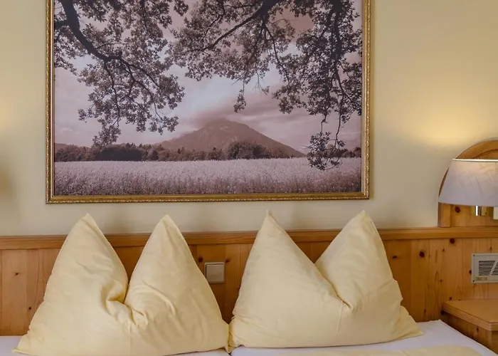 Restaurant Lebzelter Szálloda 4*